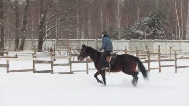 Racehorce kar halkada çalışan kadın binici ile