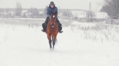 Atlı spor - binici kadın ata karlı açık yürüyüş