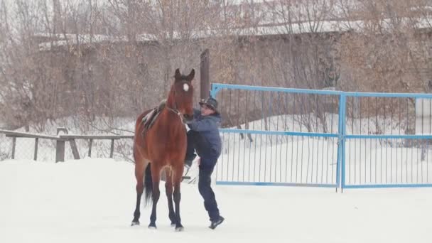 Vaqueira jovem mulher subir em seu cavalo em uma terra de inverno — Vídeo de Stock