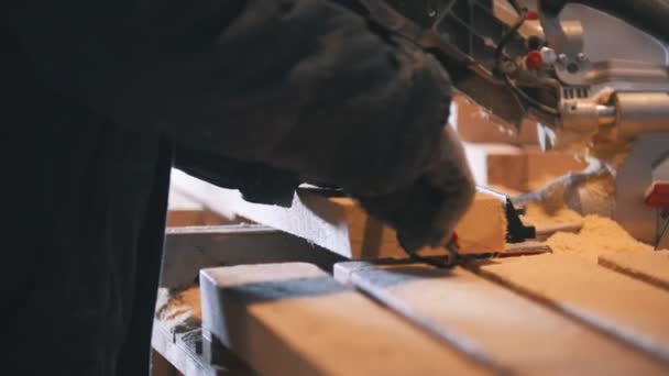 Worker in joinery figuring wooden board before circular saw sawing — Stock Video