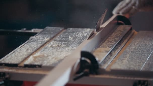 Process of cutting and splitting wooden plank with dangerous circular electric saw, focus on the board — Stock Video