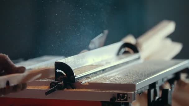 Processo di taglio della tavola di legno con pericolosa sega elettrica circolare, vista posteriore — Video Stock