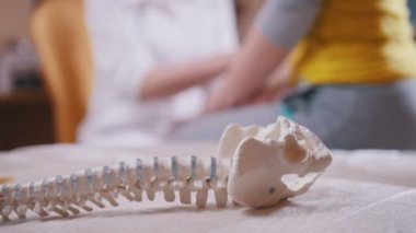 Bulanık doktor nörolog dikkatle rap kolları üzerinde çekiç, omurga model ön planda ile hasta inceliyor