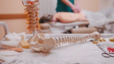 El ile terapist bir masaj masası, arkasında iterek, omurga modeli ön planda yalan genç bir kadın Masaj