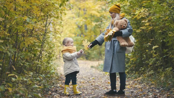 Blonde dochtertje met haar mama wandelingen in herfst park - zijn grappig en bladeren verzamelen, close-up — Stockfoto