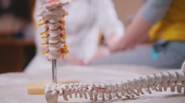 Dikkatle kollar, omurga modeli ön planda bir çekiç ile rap hasta doktor nörolog inceliyor