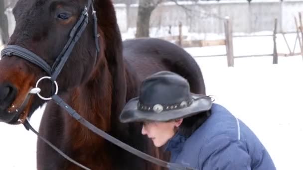 Rider, česání a krmení hnědé koně v otevřené výběhu v zimě — Stock video