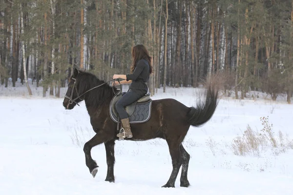 Žena na černém koni v zasněženém lese — Stock fotografie