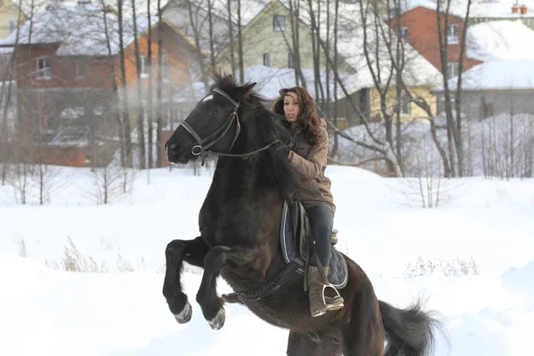 骑在雪地乡下的黑马的年轻女子 — 图库照片