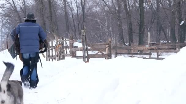 Cavaleiro na fazenda prepara a sela do cavalo antes da equitação, seu cão corre ao redor — Vídeo de Stock