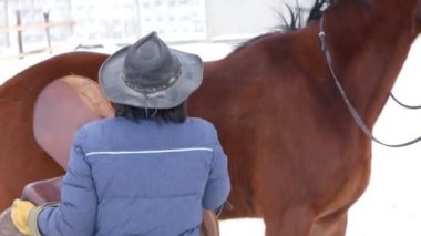 Kış aylarında bir açık padok yoktur kahverengi at yuvası binici yarış için hazırlanıyor