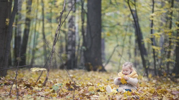 Dochtertje speelt met gele bladeren in de herfst park - het meisje is gelukkig en lachen - groothoek — Stockfoto