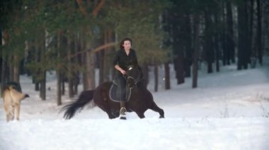 Genç kadın ormandaki derin karda siyah bir at binme ağır çekim