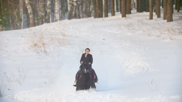 Професійний гонщик - красива довгошерста жінка, що катається на чорному коні через глибокі снігові дрейфи в лісі, повільний рух — стокове відео