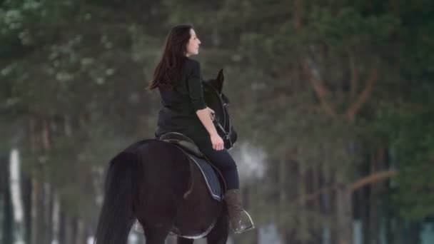 Profesionální krásná dlouhosrstá žena na černém koni hlubokým sněhem v lese, nezávislé hřebec poskakovala, vzpírá a frkání — Stock video