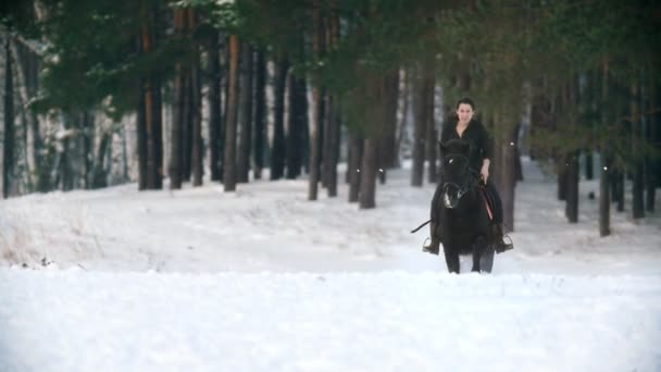 Longhaired woman riding a black horse through the deep snowbank in the forst — Stock Video