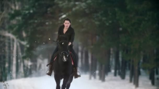 Bella donna dai capelli lunghi che cavalca un cavallo marrone attraverso il profondo cumulo di neve nel forst, rallentatore — Video Stock