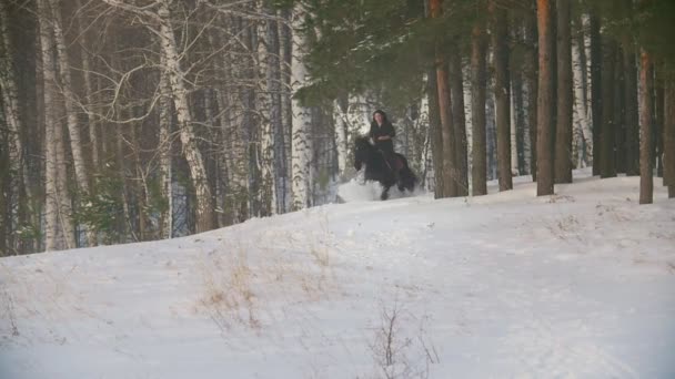 Чорноволоса жінка верхи на чорному коні через дрейфи в засніженому лісі — стокове відео