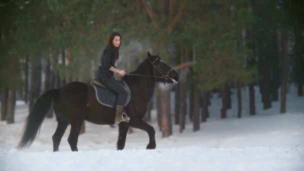Professionnel belle femme aux cheveux longs chevauchant un cheval noir à travers la neige profonde dans la forêt, étalon indépendant prancing — Video