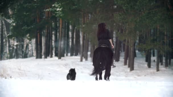 Langharige vrouwelijke ruiter berijden van een zwart paard door de diepe driften in het besneeuwde forest — Stockvideo
