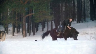 Güzel uzun saçlı kadın karda ormanda siyah bir at binme
