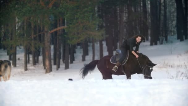 Όμορφη μακρυμάλλης γυναίκα, ιππασία, ένα μαύρο άλογο μέσα από το χιόνι στο δάσος — Αρχείο Βίντεο
