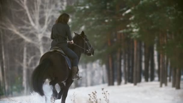 Όμορφη μακρυμάλλης γυναίκα, ιππασία, ένα μαύρο άλογο μέσα από το βαθύ χιόνι στο δάσος, ανεξάρτητα επιβήτορα prancing — Αρχείο Βίντεο