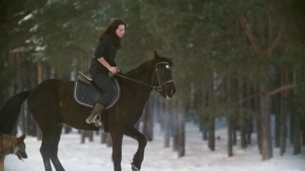 Profesional hermosa mujer de pelo largo montando un caballo negro a través de la nieve profunda en el bosque, semental independiente jadeando y resoplando — Vídeos de Stock