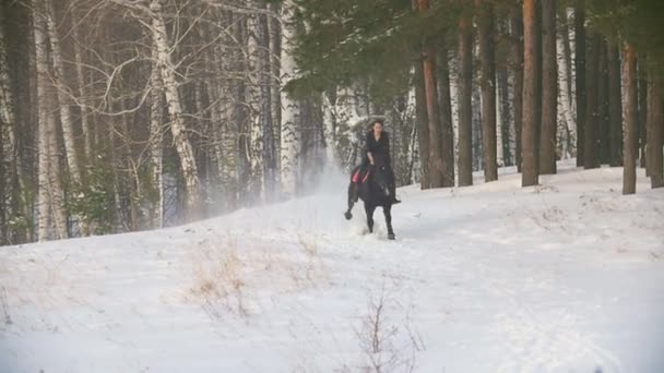 Unga kvinnliga ryttare rider en svart häst genom drivorna på vintern fryst skog — Stockvideo