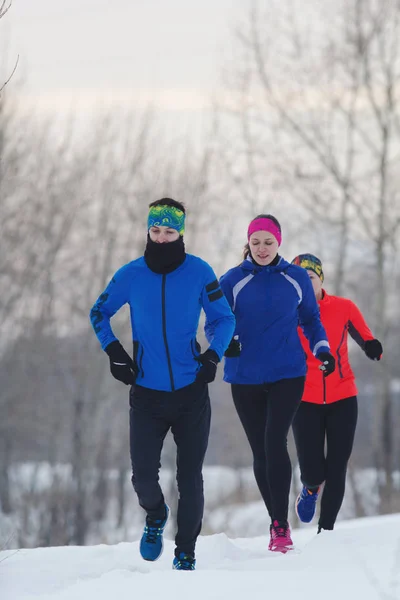 Group of athletes jogging in winter forest