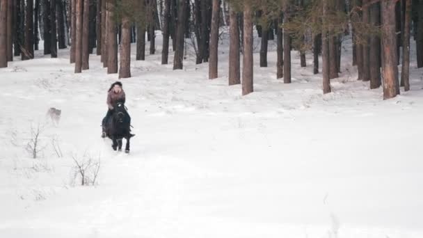 Чорноволоса жінка верхи на чорному коні через дрейфи в засніженому лісі — стокове відео