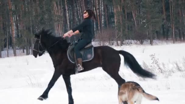Jonge vrouw ider wandelen een zwart paard door de diepe driften in het besneeuwde forest — Stockvideo