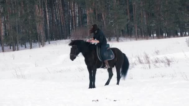 Hermosa mujer de pelo largo montando un caballo negro a través de la nieve en el bosque — Vídeos de Stock