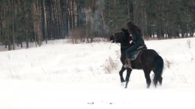 Güzel uzun saçlı kadın karda ormanda siyah bir at binme