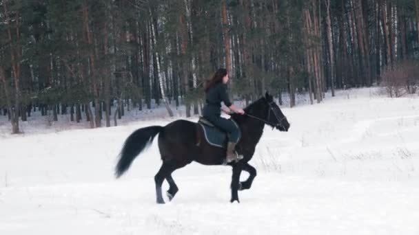 Красива довгошерста жінка, що катається на чорному коні через сніг у лісі, прогулянка з жеребцем — стокове відео
