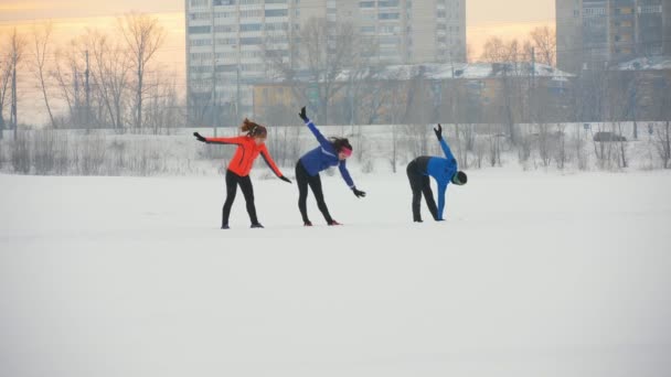 Grupo de atletas que se aquecem e se alongam antes do exercício na floresta de inverno — Vídeo de Stock