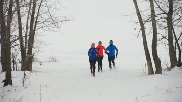 Groep van jonge sporters die technisch in winter bos loopt — Stockvideo