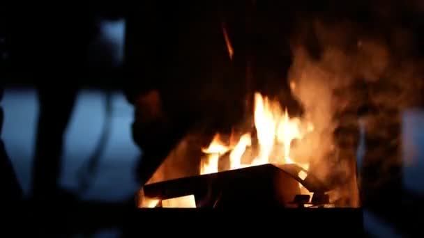 겨울 밤에 바베 큐 그릴에 대 한 불 — 비디오