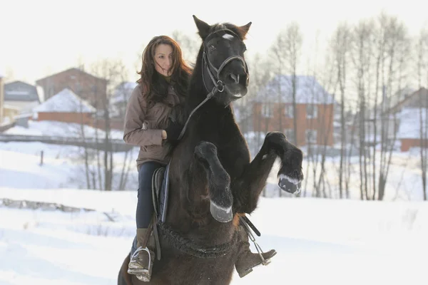 Jovem mulher montando em cavalo preto no campo nevado - cavalo estava em suas patas traseiras — Fotografia de Stock
