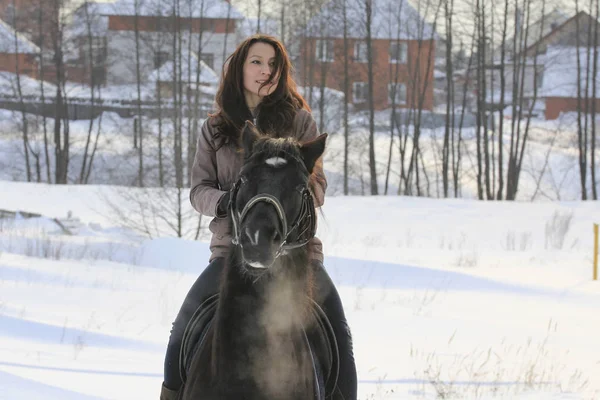 年轻的黑发妇女与马在冬天下雪乡下 — 图库照片