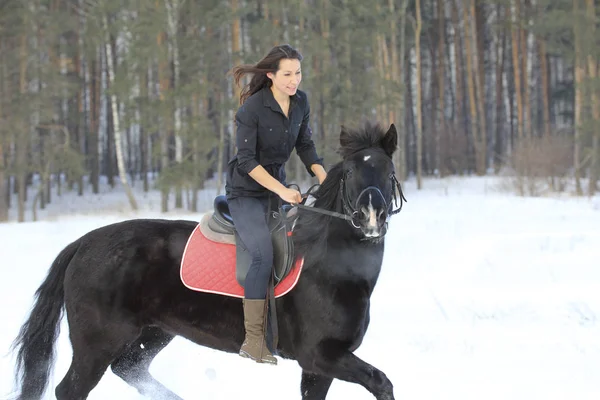 Jovem mulher no topo de um cavalo de baía na floresta de inverno — Fotografia de Stock