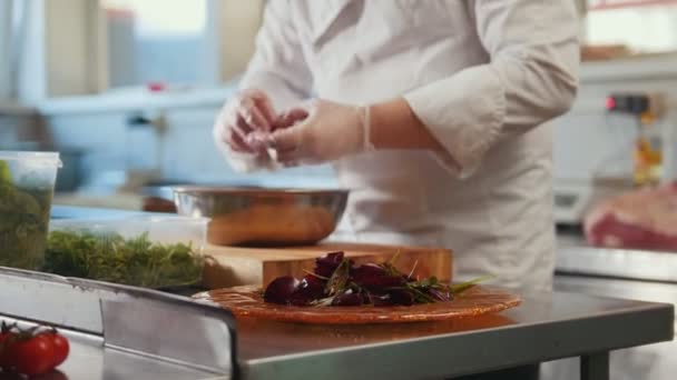 Chef sirve la ensalada colocando los ingredientes en un plato — Vídeo de stock