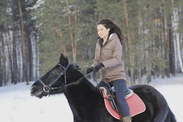 Mladá atraktivní žena na koni na černém koni v zasněženém lese — Stock fotografie