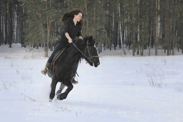 Jovem mulher de cabelos pretos em cima de um cavalo de baía na floresta de inverno — Fotografia de Stock