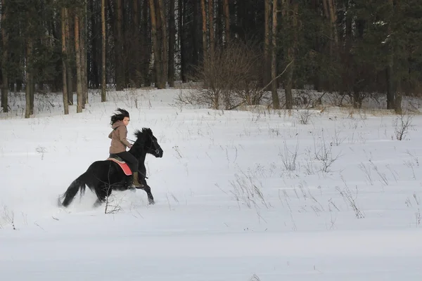 Jonge vrouw rijdt bovenop een baai paard in de winter landschap — Stockfoto