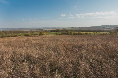Rus alanları - yaz çayır - ural manzara