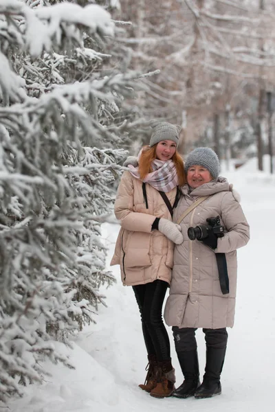 가족 겨울 공원-젊은 여자에에서 눈 덮인 소나무 근처 그녀의 아줌마 사진 작가 함께 서 서 — 스톡 사진