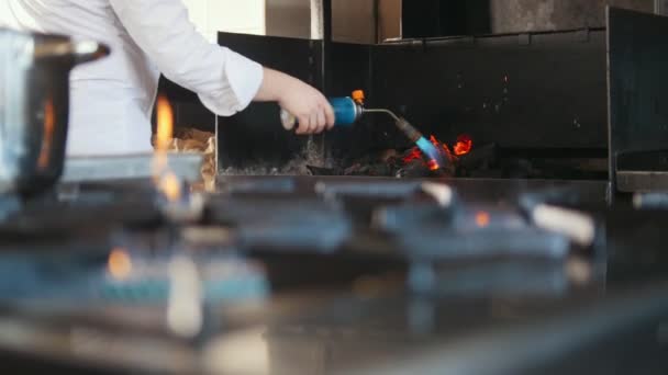 Ontsteking van de houtskool in de barbecue-oven — Stockvideo