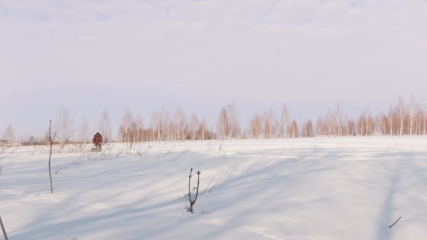 Homem em roupas de inverno rápido equitação e manobra em mini snowmobile em snowdrifts profundos no campo — Vídeo de Stock