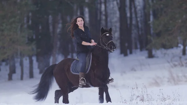 Beautiful longhaired woman riding a black horse through the snow in the forest, stallion prancing — Stock Photo, Image